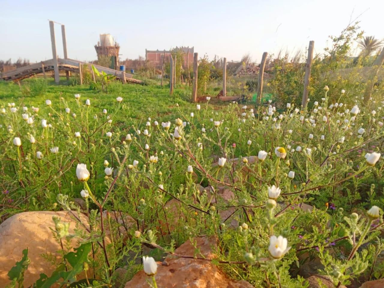 فيلا L'Experience Berbere أغادير المظهر الخارجي الصورة